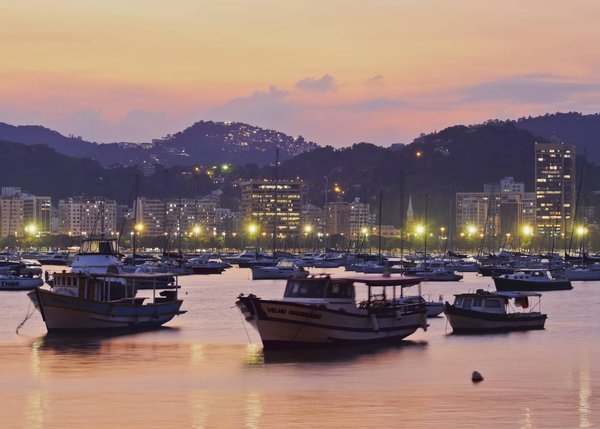 Comment utiliser les baies de goji séchées dans des recettes sucrées et salées ?